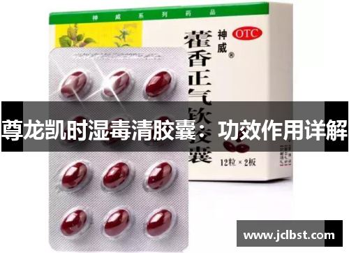 尊龙凯时湿毒清胶囊：功效作用详解