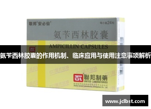 氨苄西林胶囊的作用机制、临床应用与使用注意事项解析