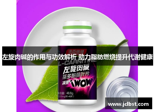 左旋肉碱的作用与功效解析 助力脂肪燃烧提升代谢健康